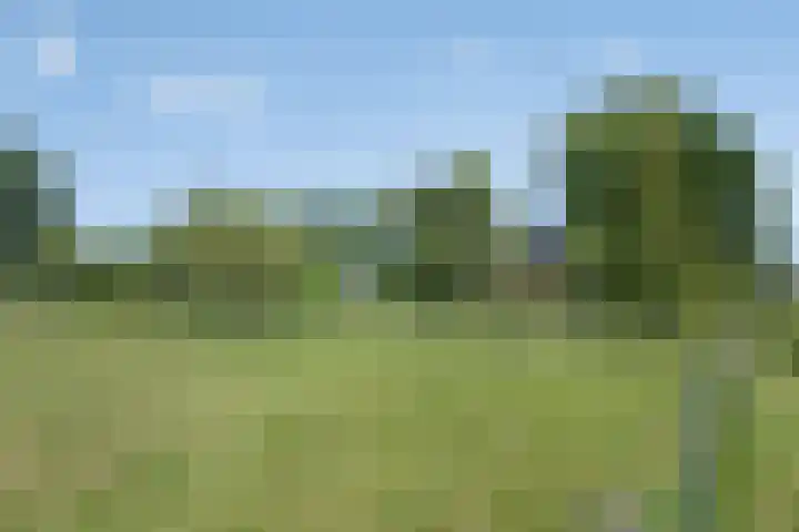 De Holm 8 Tolbert thumbnail 42