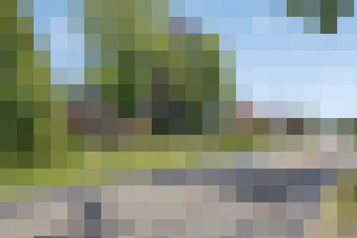De Holm 8 Tolbert thumbnail 44