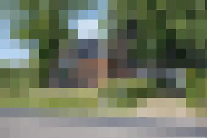 De Holm 8 Tolbert thumbnail 46