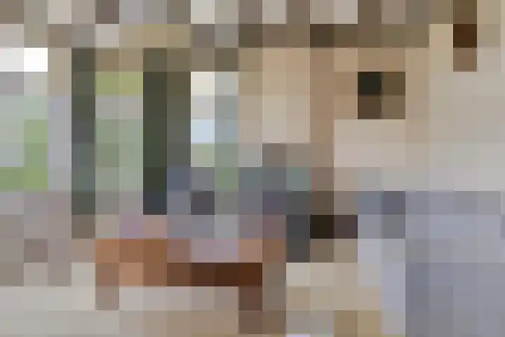 De Holm 8 Tolbert thumbnail 8