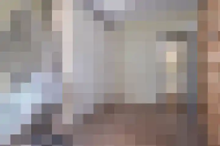 De Holten 10 Haren Gn thumbnail 15