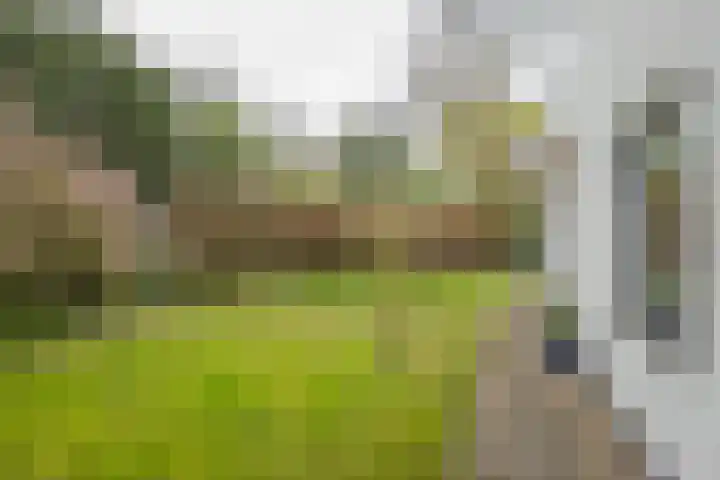 De Holten 10 Haren Gn thumbnail 25