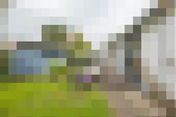 De Holten 10 Haren Gn thumbnail 26
