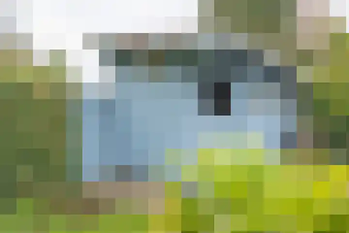 De Holten 10 Haren Gn thumbnail 27