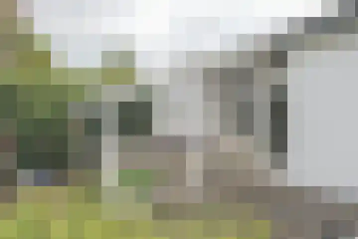 De Holten 10 Haren Gn thumbnail 28