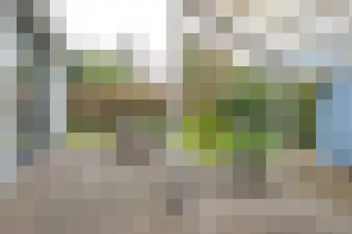 De Holten 10 Haren Gn thumbnail 29