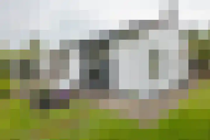 De Holten 10 Haren Gn thumbnail 30
