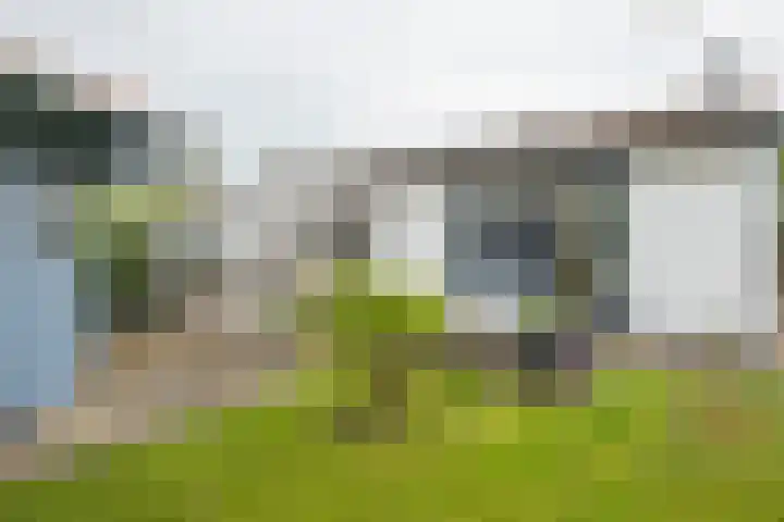 De Holten 10 Haren Gn thumbnail 31