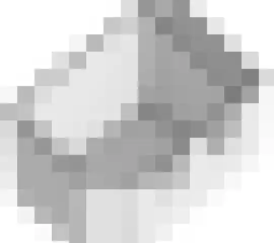 De Holten 10 Haren Gn thumbnail 35