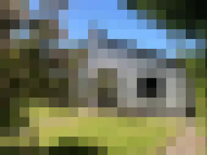 De Holten 10 Haren Gn thumbnail 38