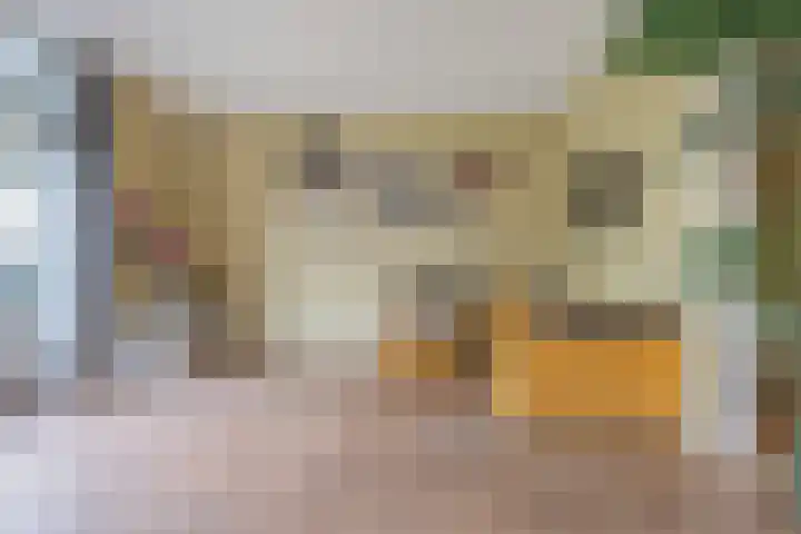 De Holten 10 Haren Gn thumbnail 6