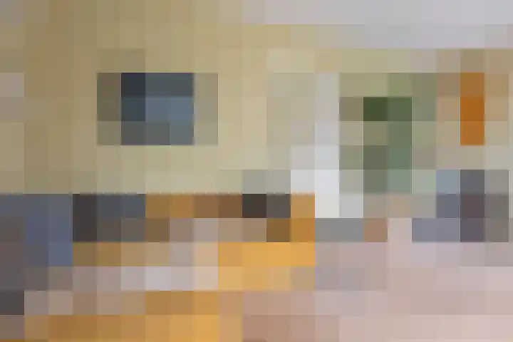 De Holten 10 Haren Gn thumbnail 8