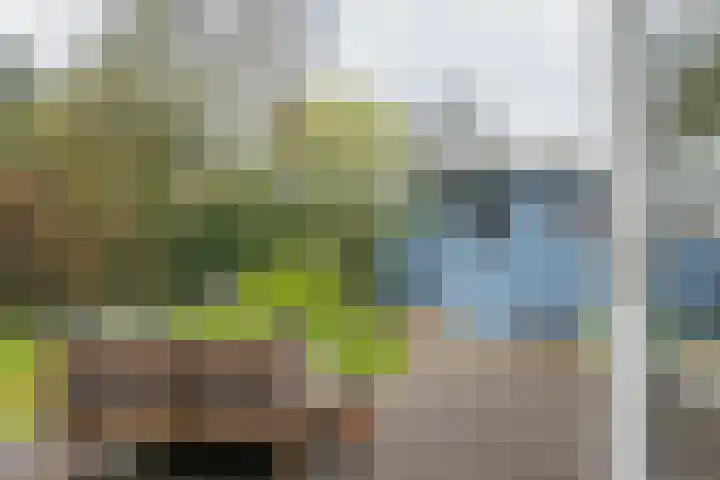 De Holten 10 Haren Gn thumbnail 9