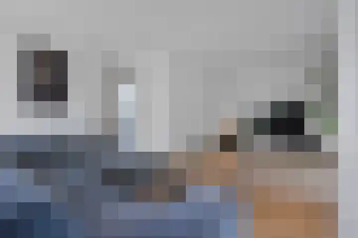 De Holterij 12 Schildwolde thumbnail 10