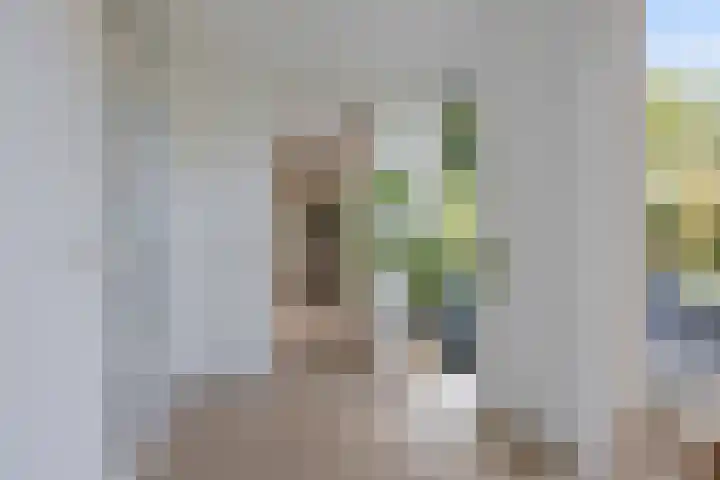 De Holterij 12 Schildwolde thumbnail 21