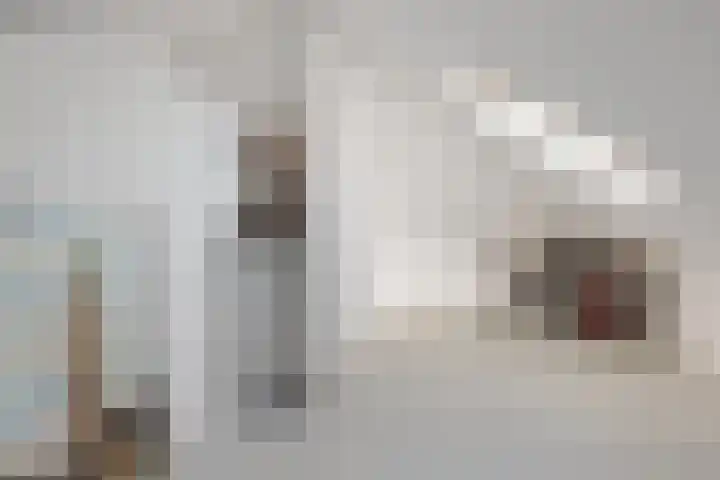De Holterij 12 Schildwolde thumbnail 28