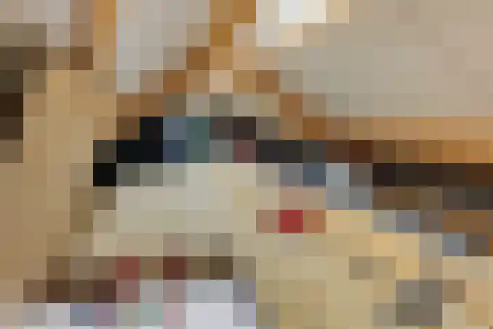 De Holterij 12 Schildwolde thumbnail 31