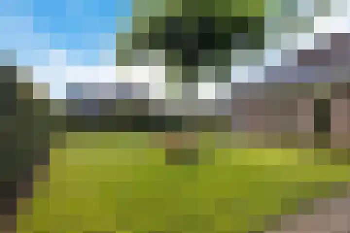 De Holterij 12 Schildwolde thumbnail 35
