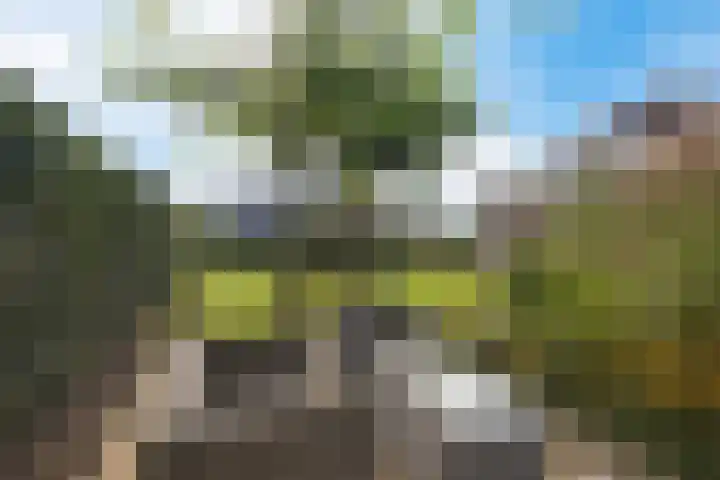 De Holterij 12 Schildwolde thumbnail 36
