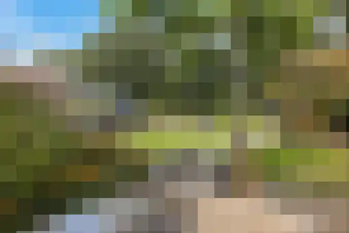 De Holterij 12 Schildwolde thumbnail 37