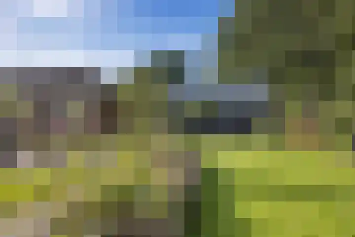 De Holterij 12 Schildwolde thumbnail 39