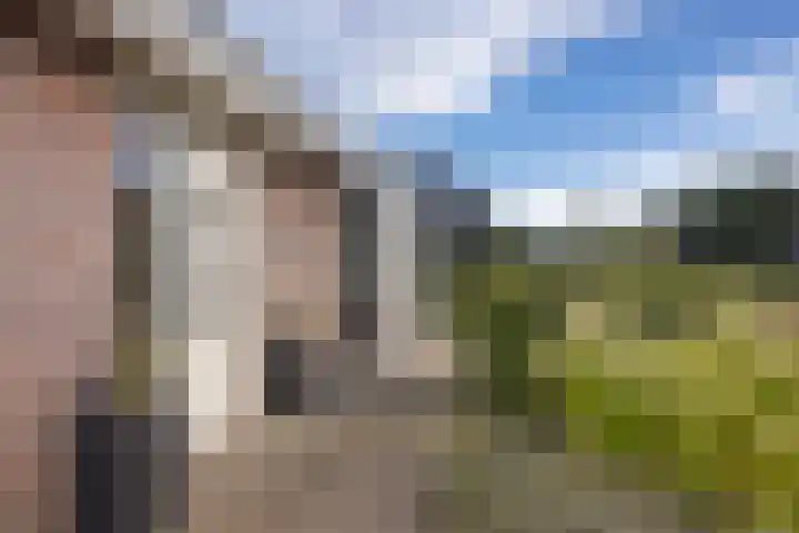 De Holterij 12 Schildwolde thumbnail 6