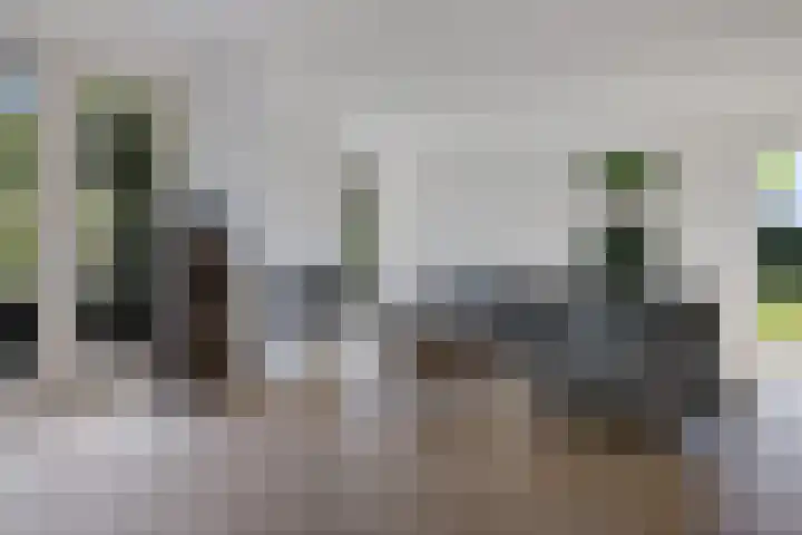 De Holterij 12 Schildwolde thumbnail 9