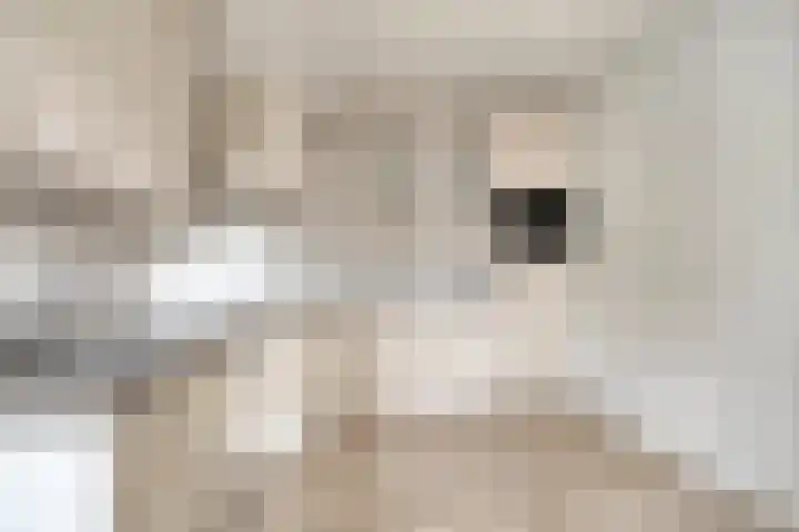 De Holtinck 2 Wierden thumbnail 14