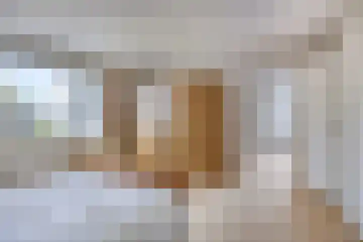 De Holtinck 2 Wierden thumbnail 22