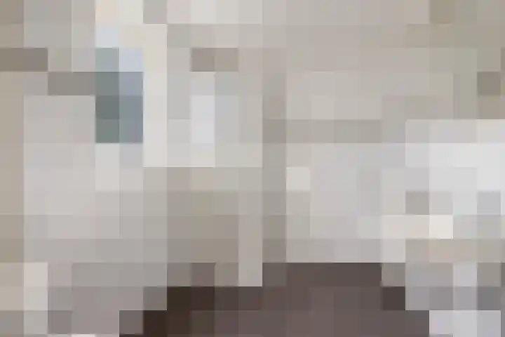 De Holtinck 2 Wierden thumbnail 23