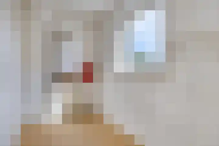 De Holtinck 2 Wierden thumbnail 25