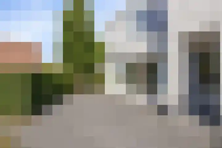De Holtinck 2 Wierden thumbnail 27