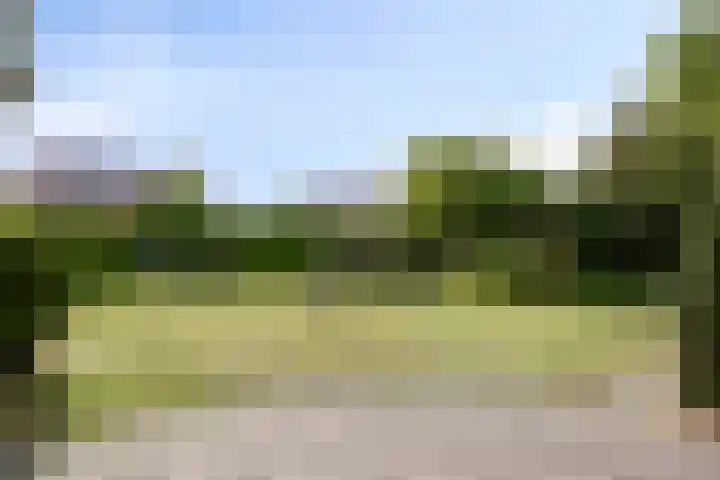De Holtinck 2 Wierden thumbnail 28