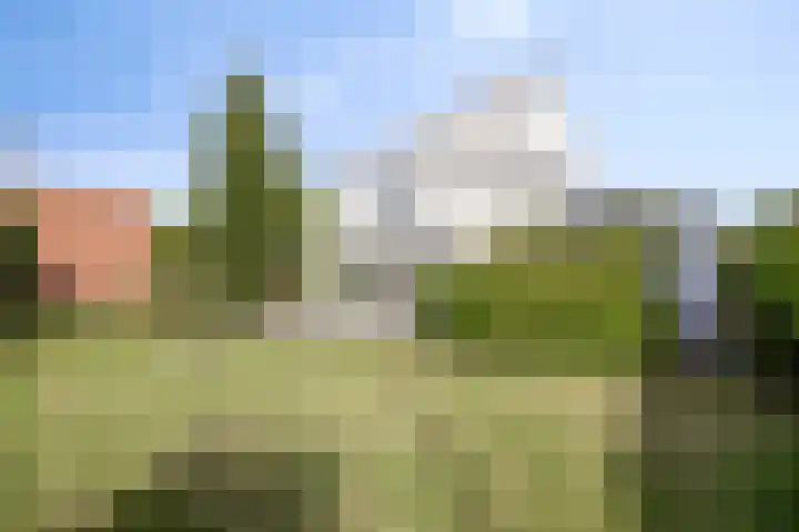 De Holtinck 2 Wierden thumbnail 29