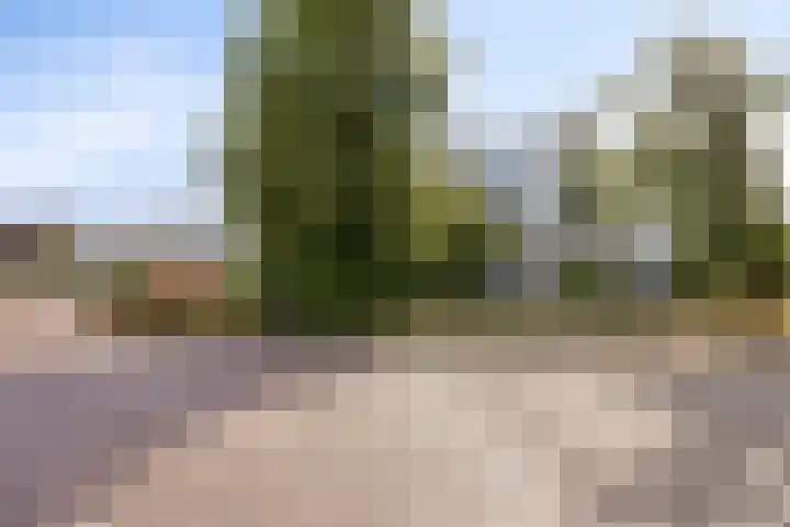 De Holtinck 2 Wierden foto 3