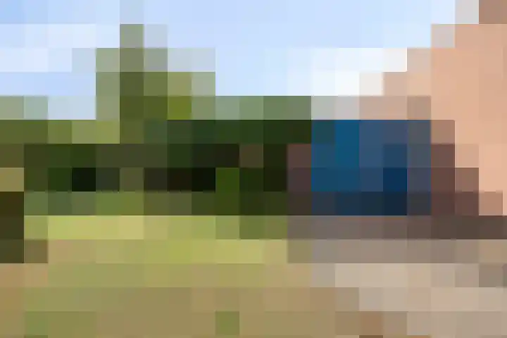 De Holtinck 2 Wierden thumbnail 31