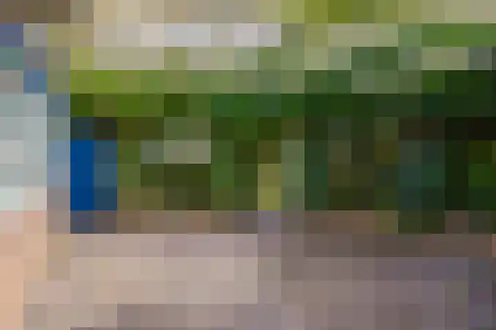 De Holtinck 2 Wierden thumbnail 32