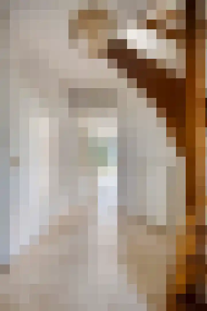 De Holtinck 2 Wierden thumbnail 4