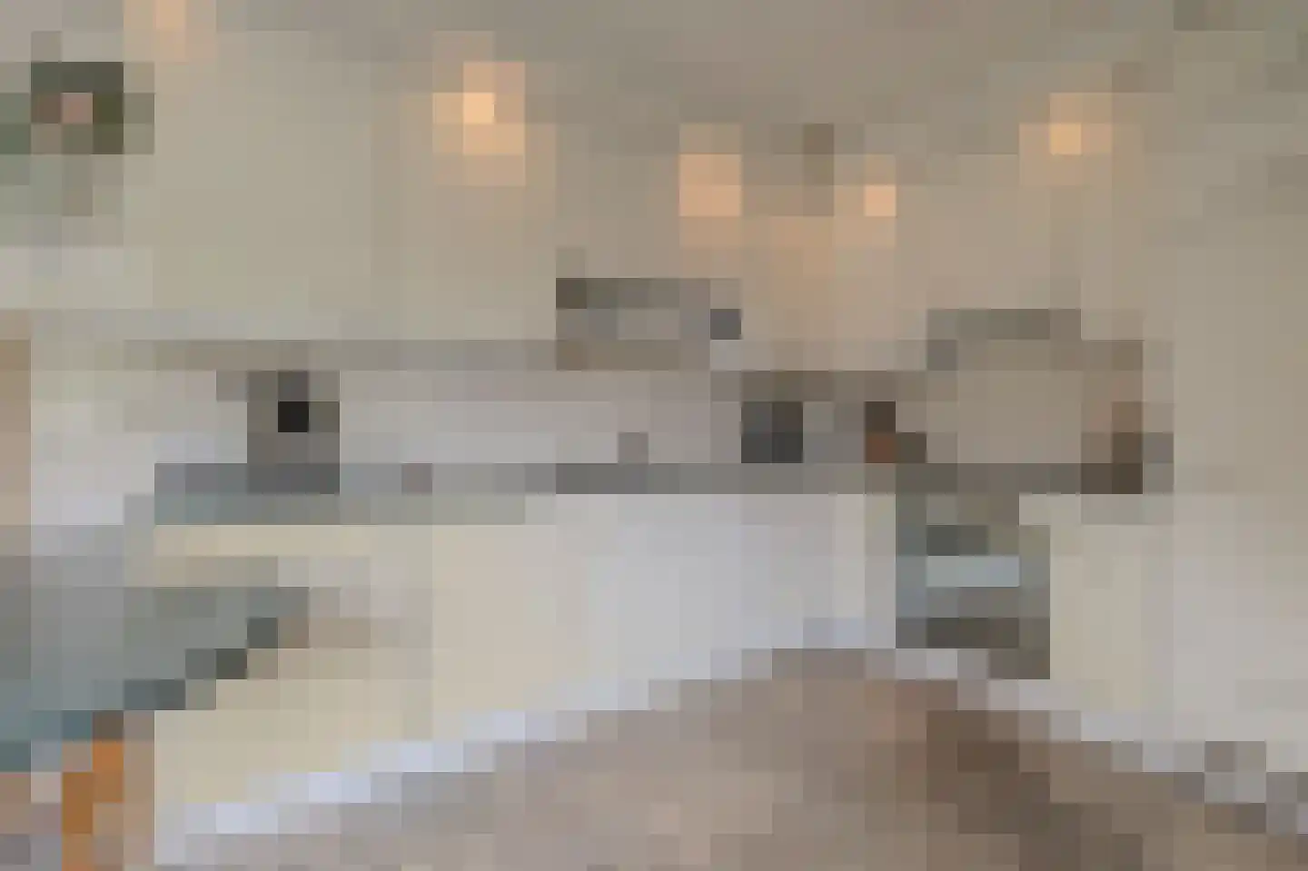 De Holtinck 8 Wierden thumbnail 17