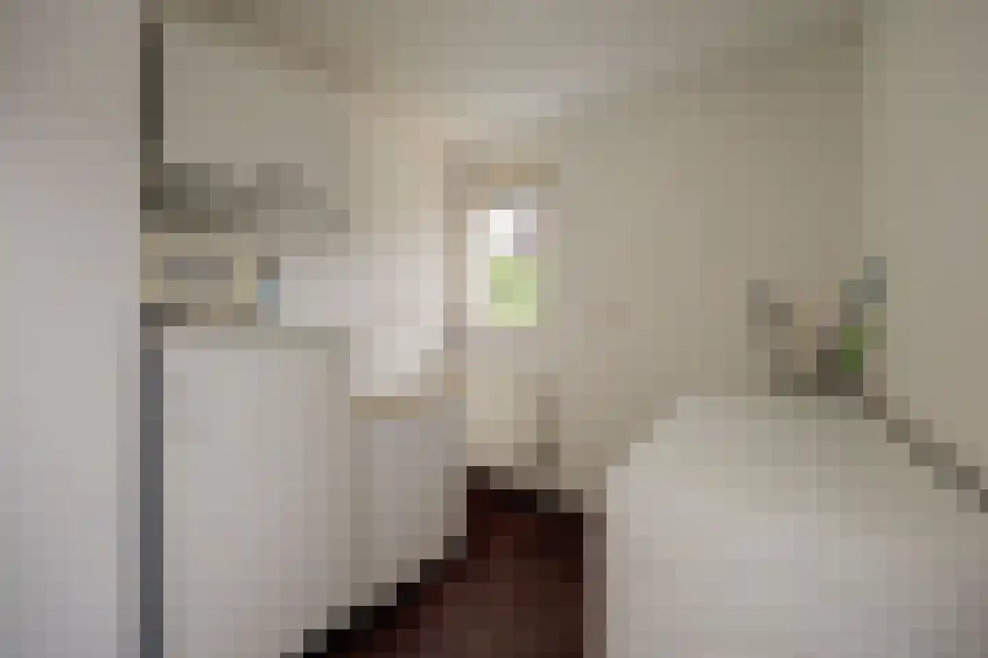 De Holtinck 8 Wierden thumbnail 20