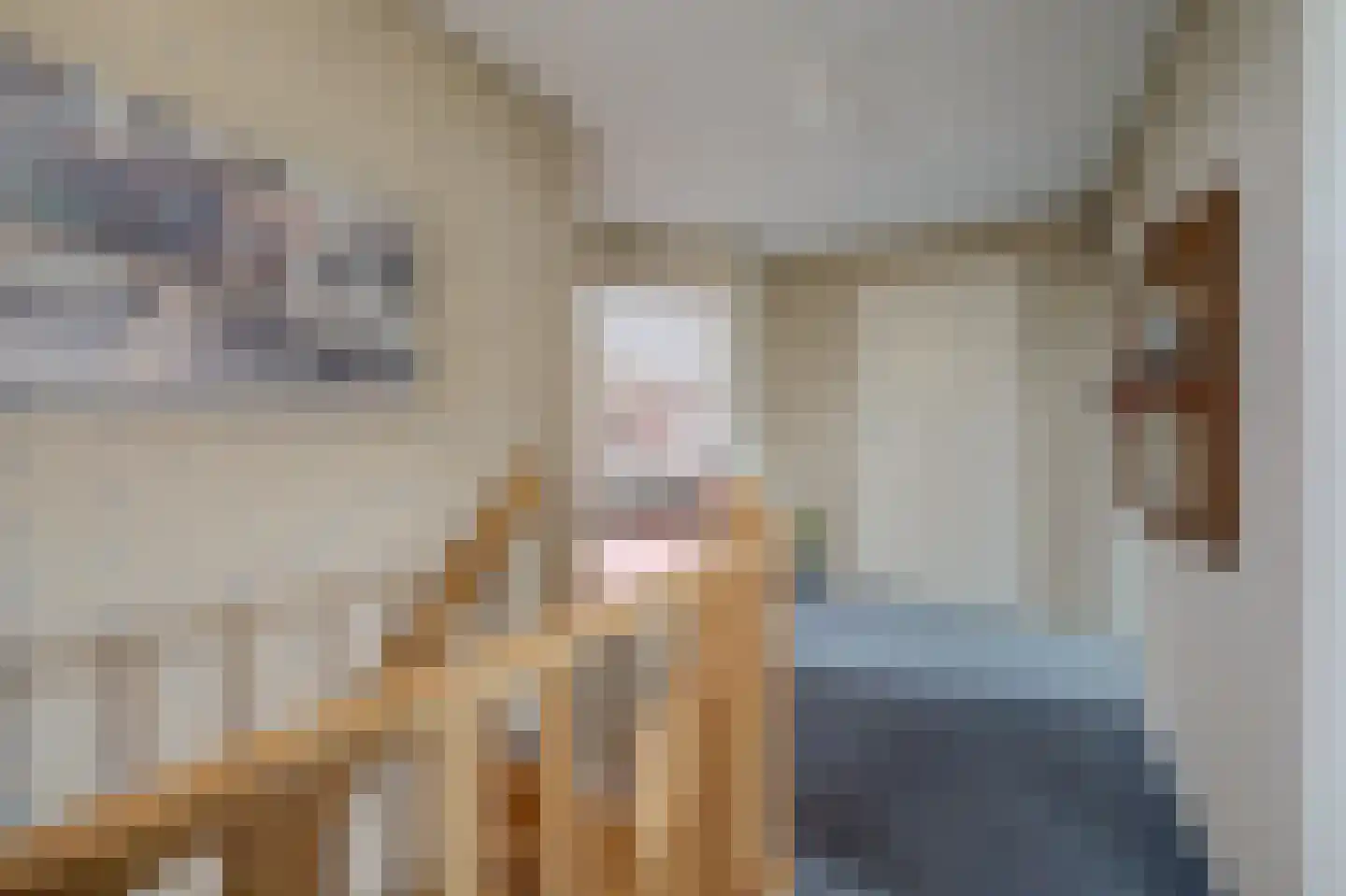 De Holtinck 8 Wierden thumbnail 27