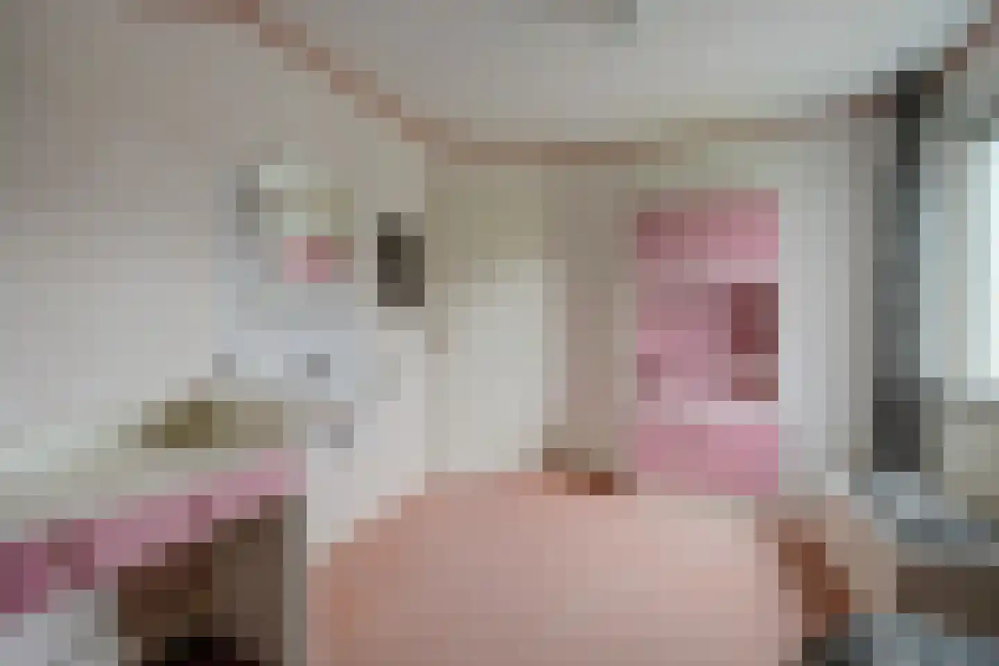 De Holtinck 8 Wierden thumbnail 36