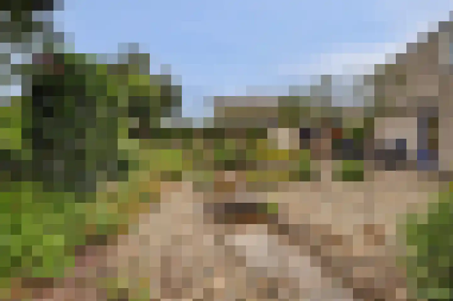 De Holtinck 8 Wierden thumbnail 4