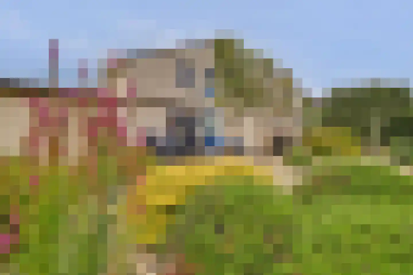 De Holtinck 8 Wierden thumbnail 59