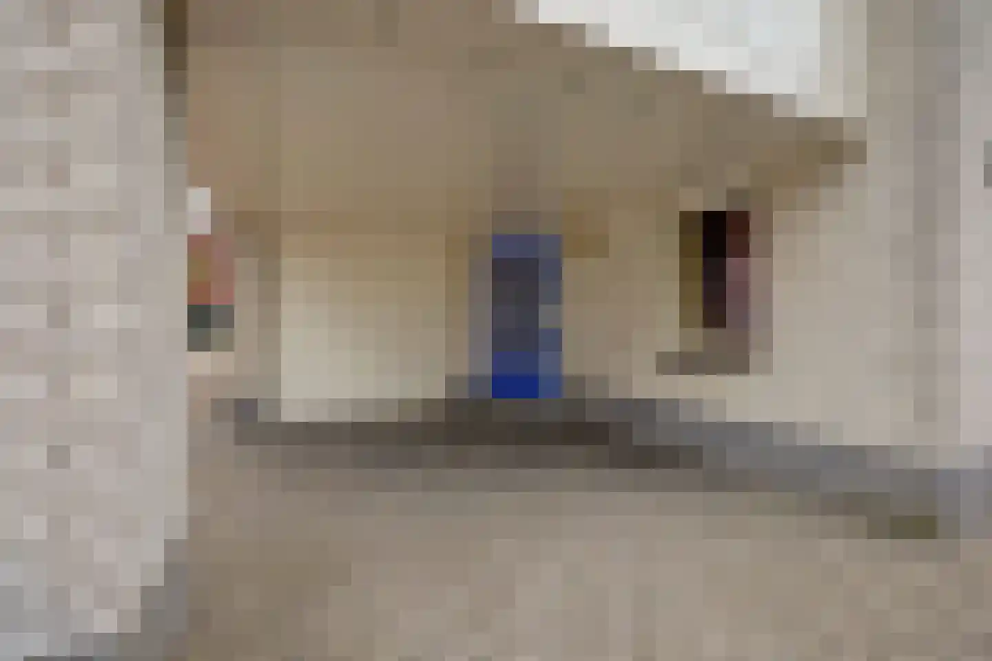 De Holtinck 8 Wierden thumbnail 6