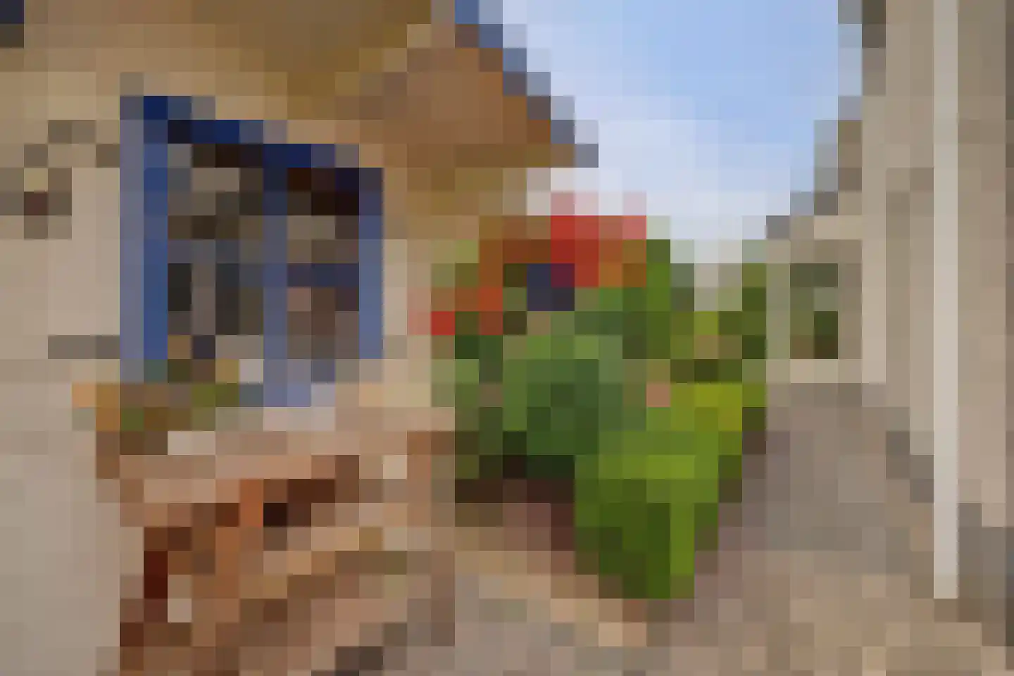 De Holtinck 8 Wierden thumbnail 60
