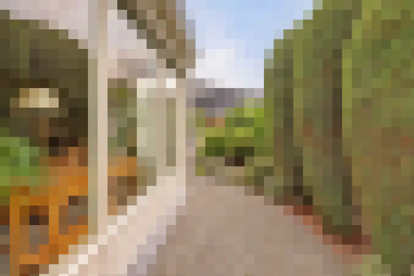 De Holtinck 8 Wierden thumbnail 61