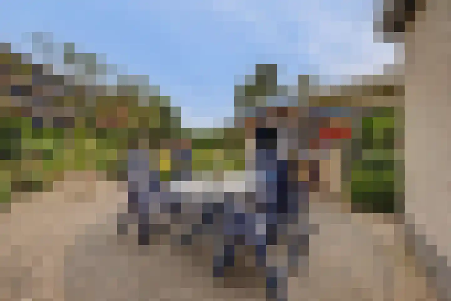 De Holtinck 8 Wierden thumbnail 62