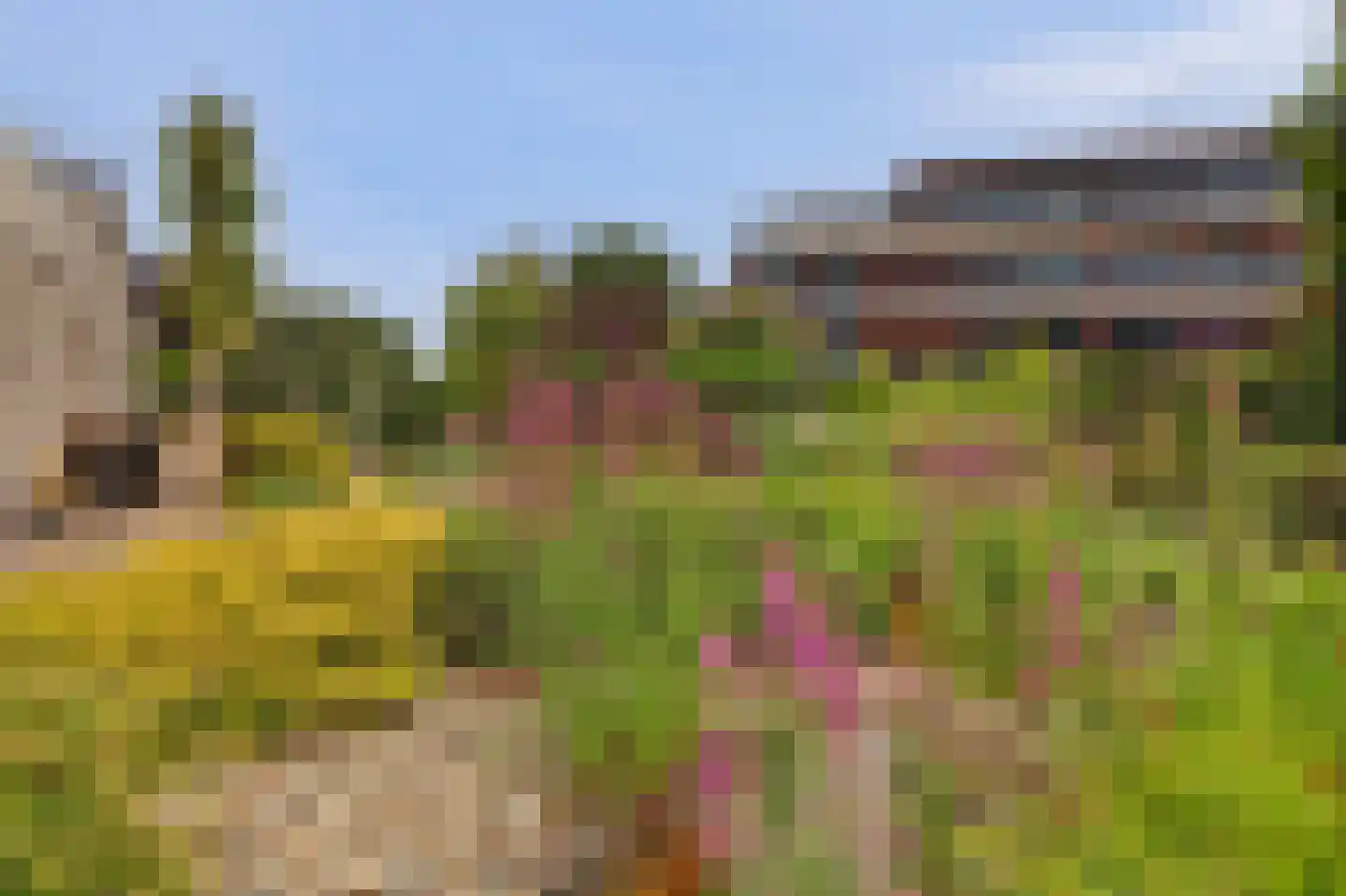 De Holtinck 8 Wierden thumbnail 66