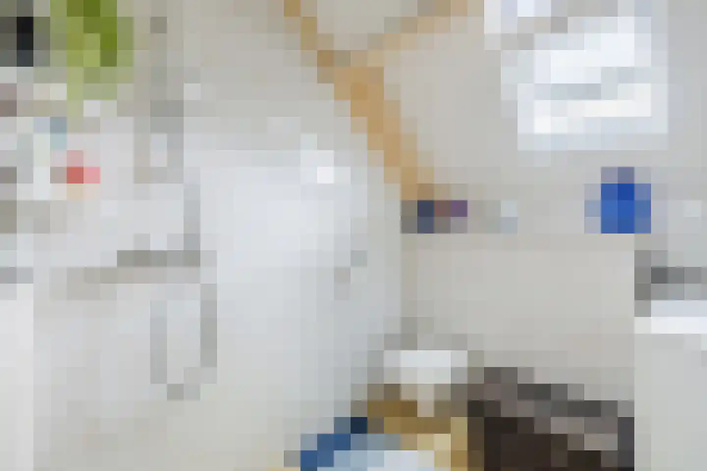 De Holtmaden 3 Hoogeveen thumbnail 31